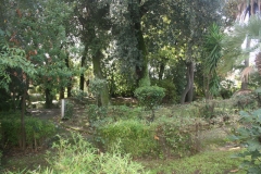 Residenza-Raggio-di-Sole-025.jpg